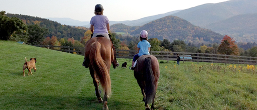 Amara Farm Kid's Lesson