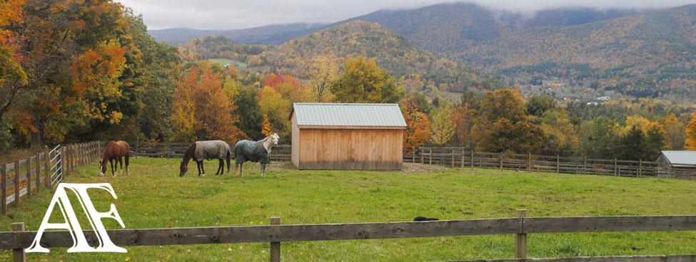 Amara Farm Paddock