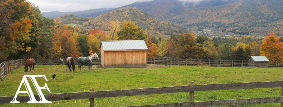 Amara Farm Vt Fall Mountains