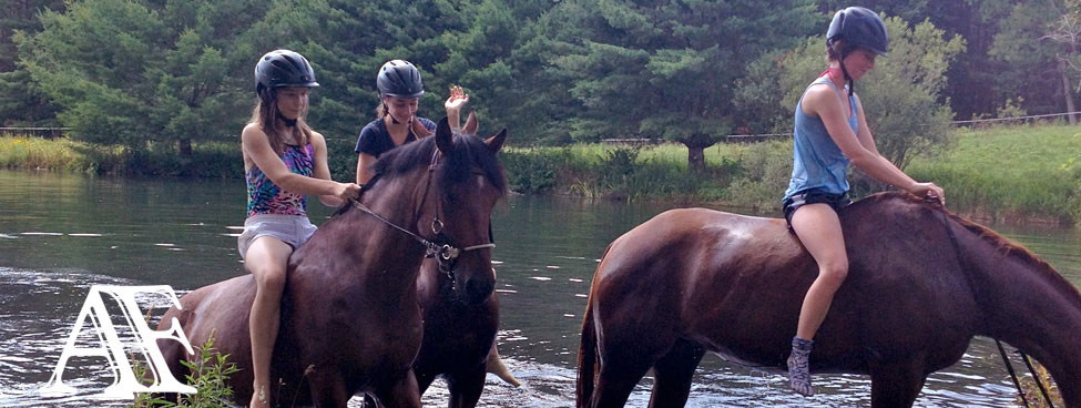 Amara Farm Fording Stream