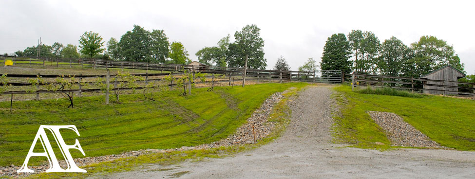 Amara Farm Fall Mountains